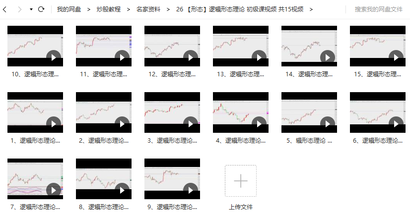 逻辑形态理论 初级课视频培训课程( 共15节)