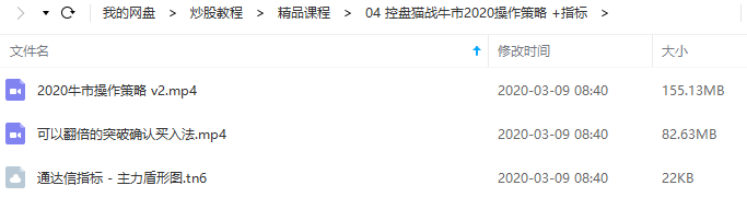 【控盘猫】投资研习社控盘猫 战牛市 2020牛市操作策略视频课程2020年版+指标