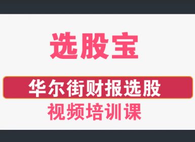 【选股宝】华尔街财报选股视频培训课