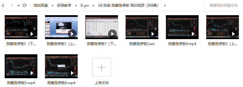 张淼 我爱涨停板 视频培训教程（共8讲）