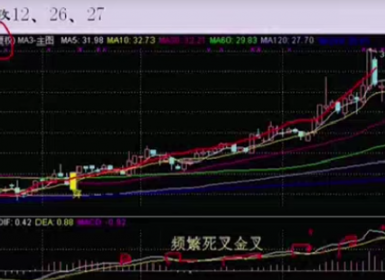 冯国磊空军实战 全赢MACD 视频2集+指标公式