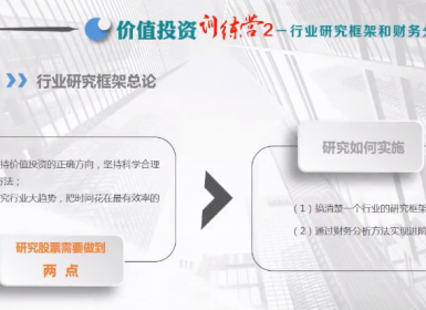 一叶孤城价值投资训练营2：行业研究框架和财务分析