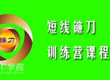 短线镰刀手2020年短线镰刀训练营课程